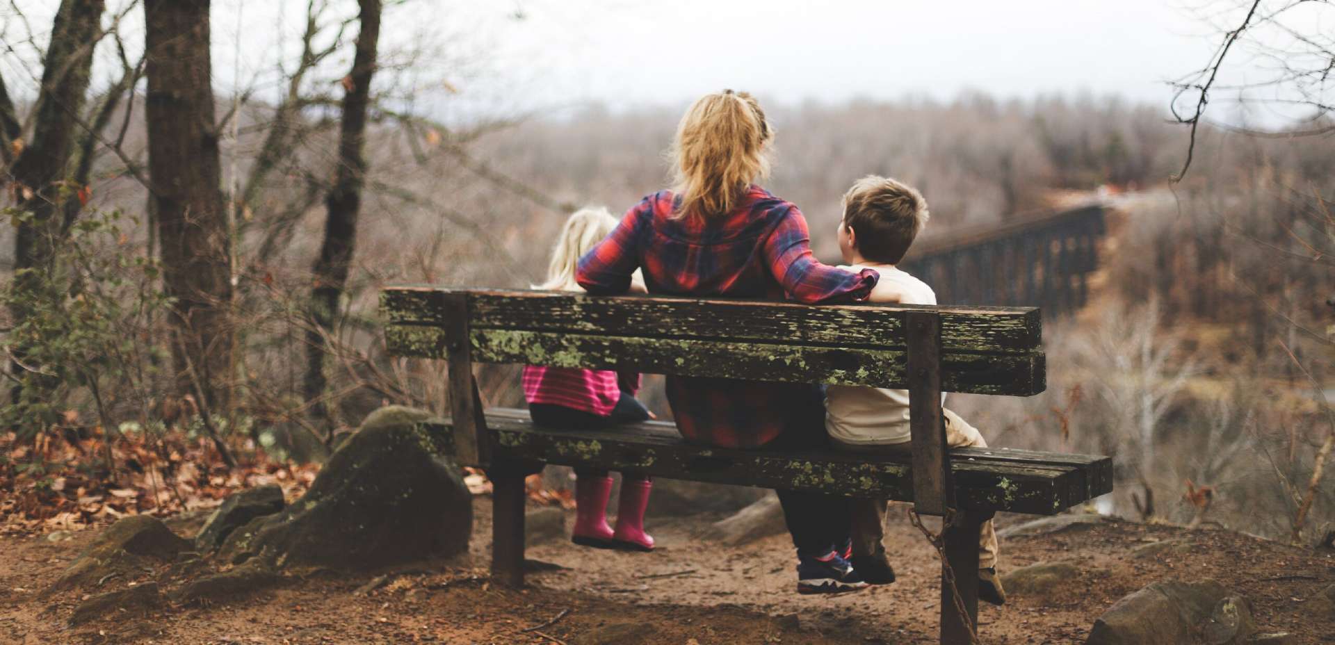 A mother and her young children are sat on a bench at the top of a hill, overlooking the forest below.