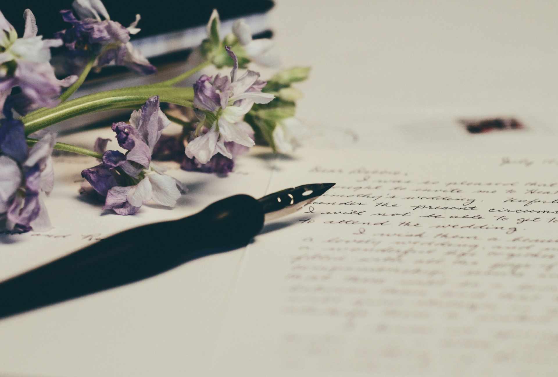 A stem of purple flowers and a calligraphy pen resting upon a handwritten Will document.